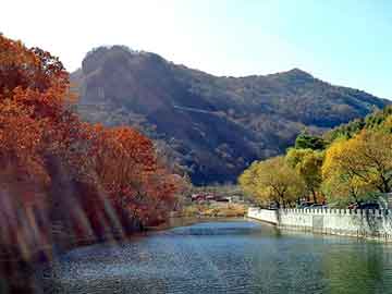 新澳天天开奖资料大全旅游团，沧月抄袭